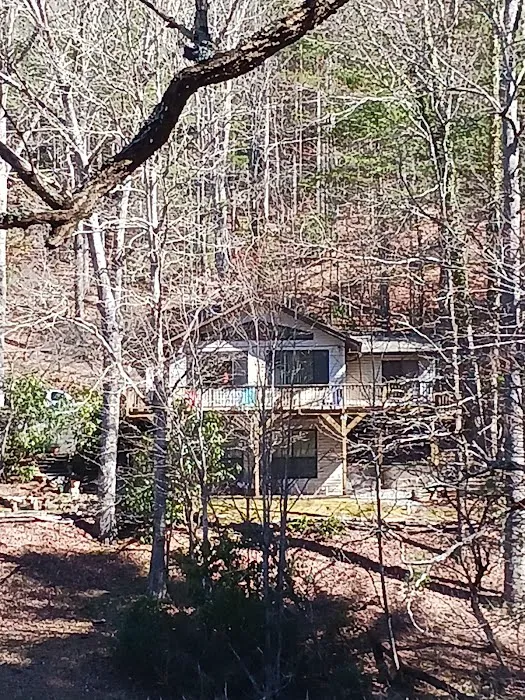 Harry's House in the Smoky Mountains 4