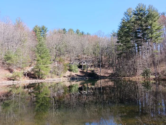 Harry's House in the Smoky Mountains 4