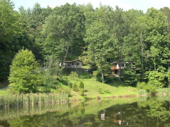 Harry's House in the Smoky Mountains 4