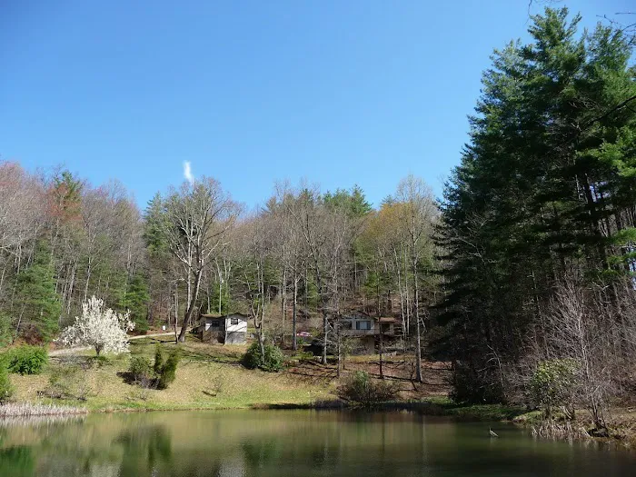 Harry's House in the Smoky Mountains 4