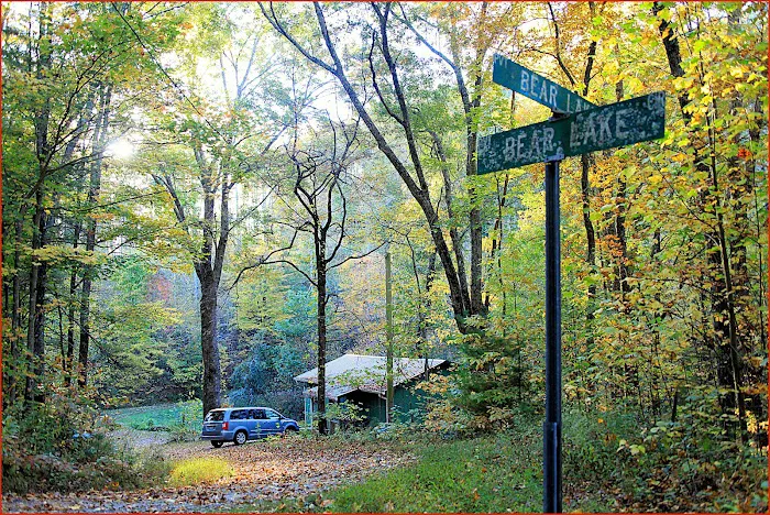 Harry's House in the Smoky Mountains 4