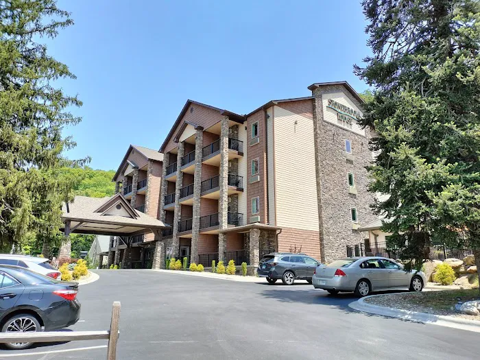 Stonebrook Lodge Bryson City 4