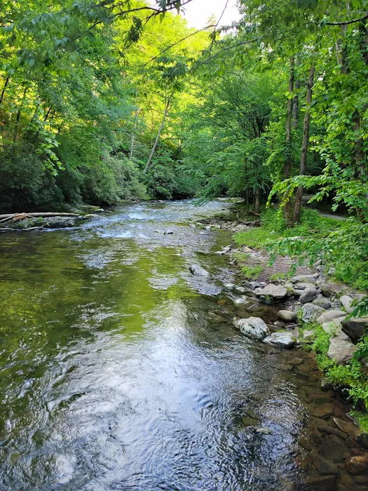 Time Flies on the River 4