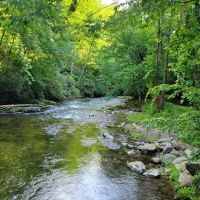 Time Flies on the River ico