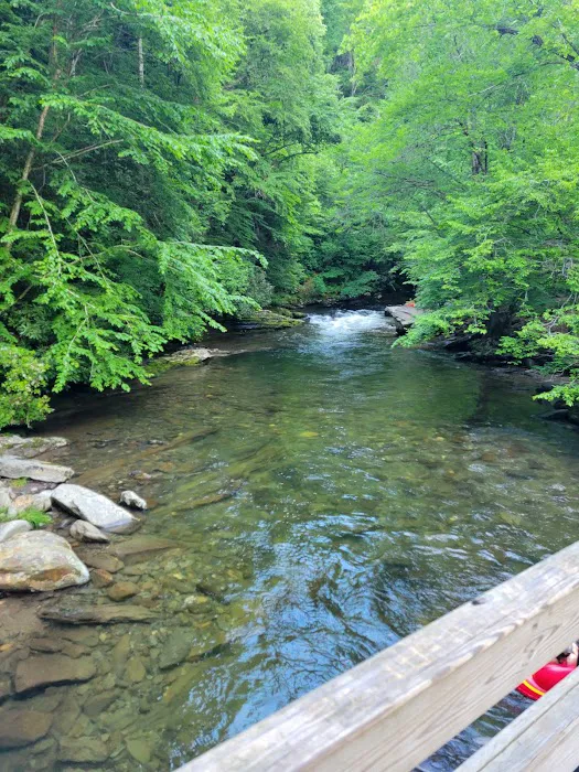 Time Flies on the River 4