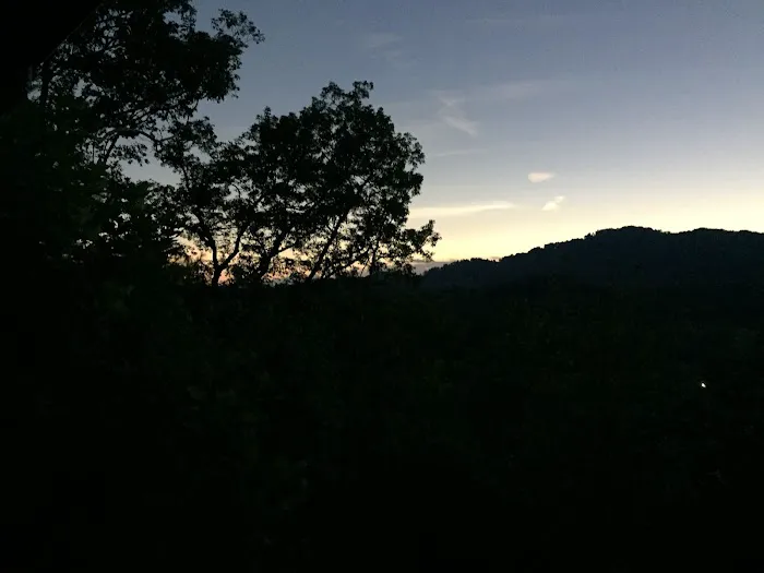 Paradise Cabin 4
