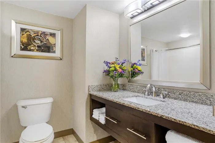 Best Western Plus River Escape Inn & Suites 4