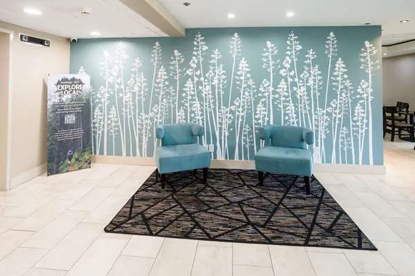 Sleep Inn & Suites West Knoxville 4