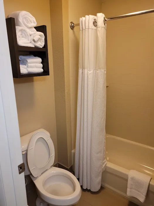 Staybridge Suites Knoxville-West, an IHG Hotel 4
