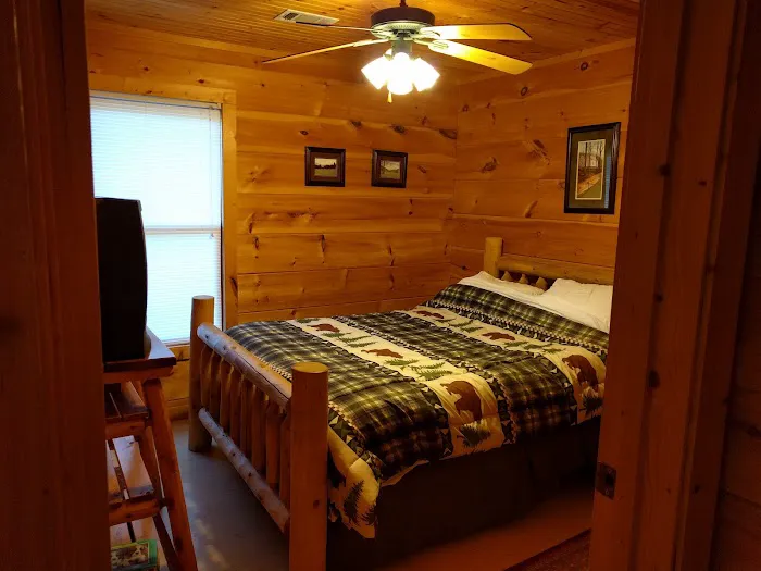 Kori's Mountain View Cabin / Aardvark Cabin Rentals 4
