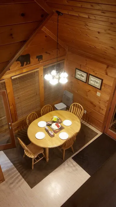 Kori's Mountain View Cabin / Aardvark Cabin Rentals 4