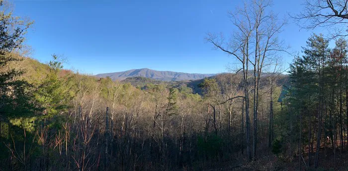 Majestic Eagle Cabin 4