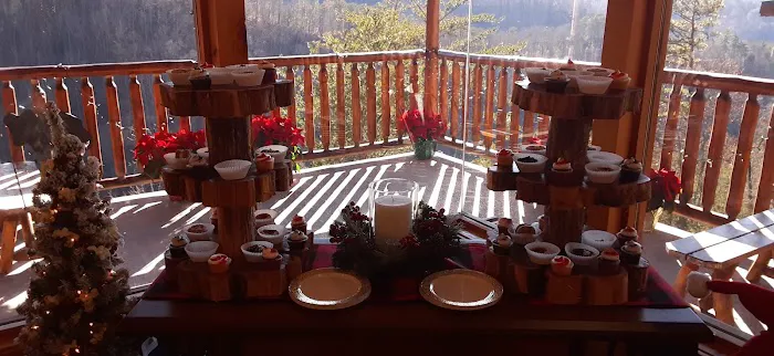 Like a Comet (cabin 51) 4