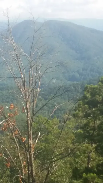Morning View Manor 4