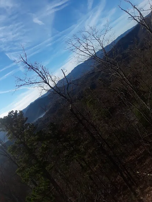 Morning View Manor 4