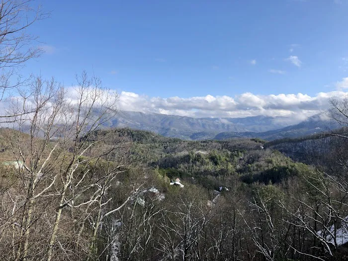 Hickory Ridge - Cove Mountain Resorts 4