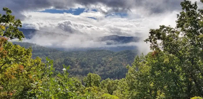 Hickory Ridge - Cove Mountain Resorts 4