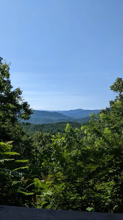 Hickory Ridge - Cove Mountain Resorts 4