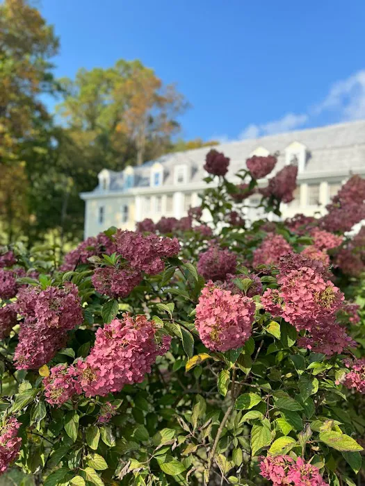 Balsam Mountain Inn 4