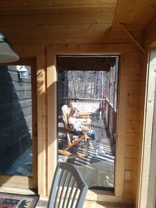 Little Cub Cabin 4