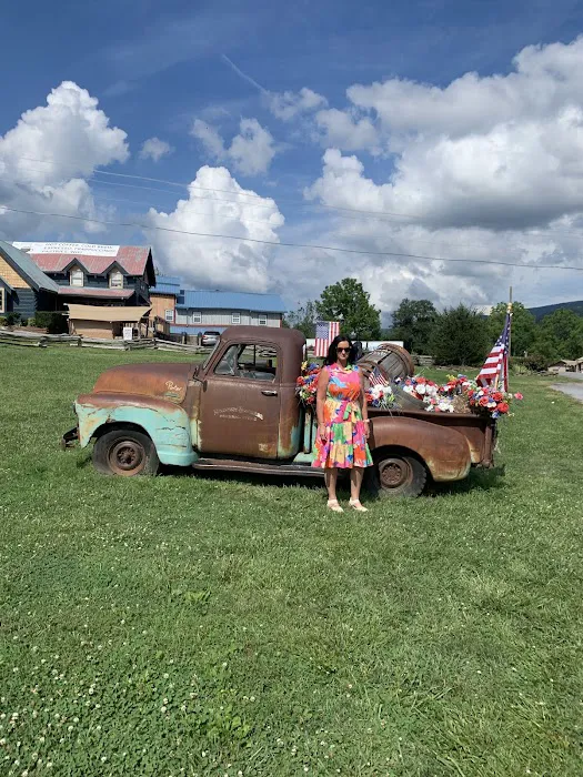 Look Out Lodge, Wears Valley, TN. 4