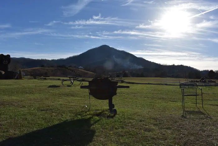 Look Out Lodge, Wears Valley, TN. 4
