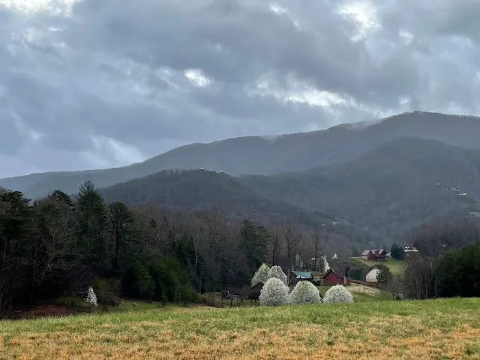 Cove Mountain Cabin 4