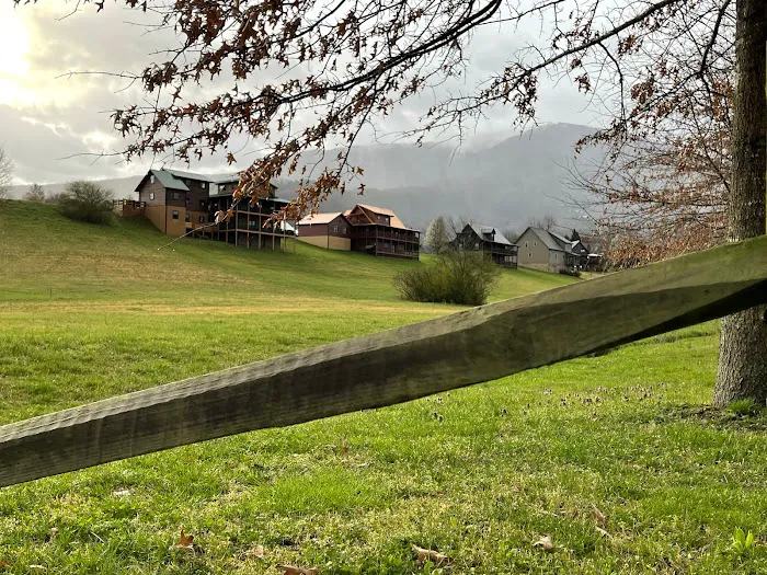 Cove Mountain Cabin 4