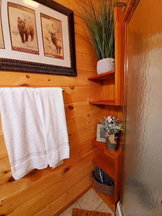 Cozy Creek Chalet 4