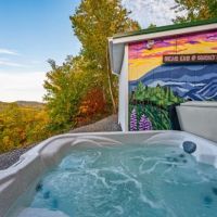 Bear Cub Bungalow ico