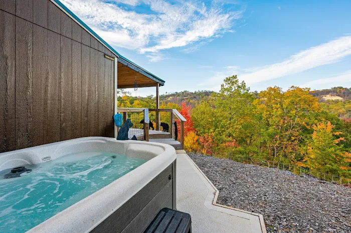 Bear Cub Bungalow 4