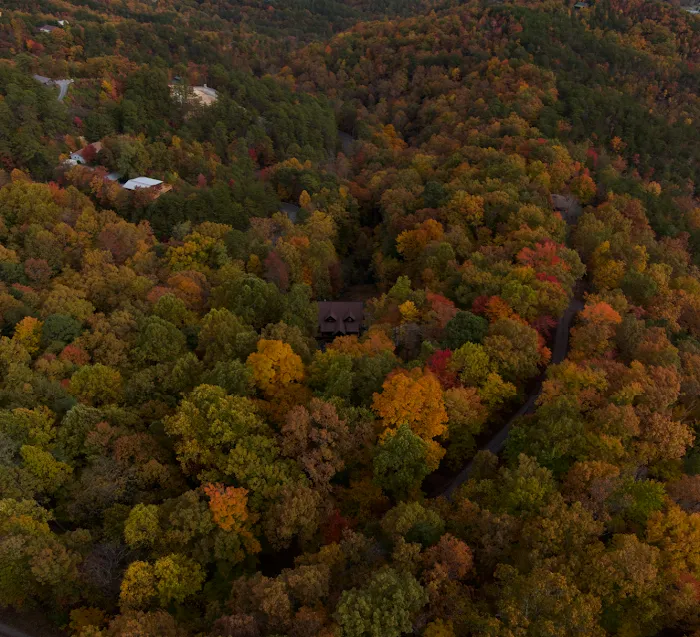 Mountain Treasure Cabin Vacation Rental 4