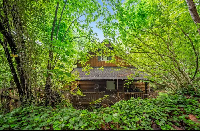 Hidden Bear Hill 4