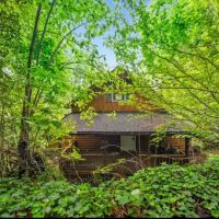 Hidden Bear Hill ico