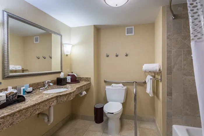 Hampton Inn & Suites Knoxville-Downtown 5