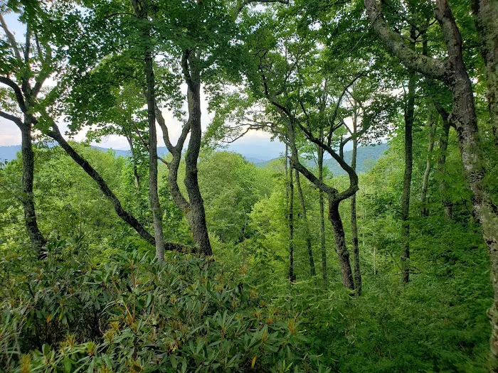 Vacation Rental 4