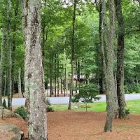 Firefly Cottage Vacation Rental ico