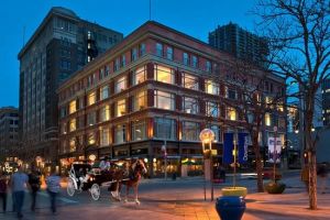 Best Hotels Near Denver’s 16th Street Mall for Every Traveler's Need