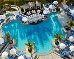 Top Family-Friendly Hotels Near Miami Seaquarium for a Perfect Kids’ Vacation