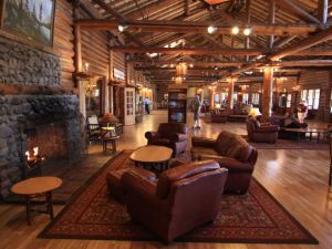 Best Hotels Near Yellowstone National Park for an Unforgettable Stay