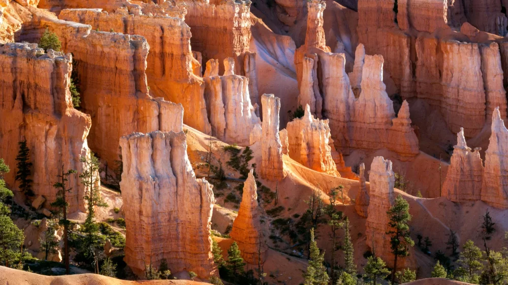 Best Hotels Near National Parks in Utah: Your Ultimate Guide