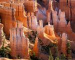 Best Hotels Near National Parks in Utah: Your Ultimate Guide