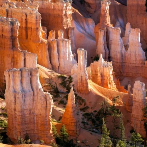 Best Hotels Near National Parks in Utah: Your Ultimate Guide