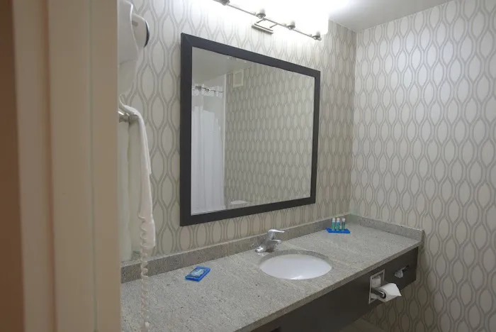 Holiday Inn Express Anderson-I-85 (Exit 27-Hwy 81) by IHG 4