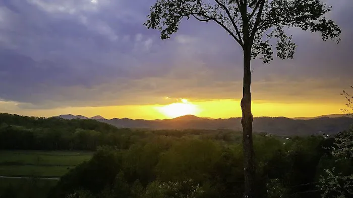 Simply Golden 4