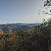 Buzzards Roost ico