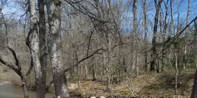 Maples Ridge Vacation Rentals:Mountain Creek