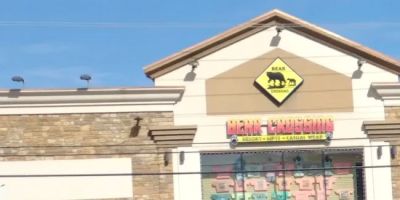 Bear Crossing