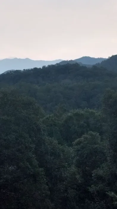 Maples Ridge Vacation Rentals:Emerald Forest 4