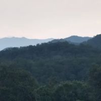 Maples Ridge Vacation Rentals:Emerald Forest ico